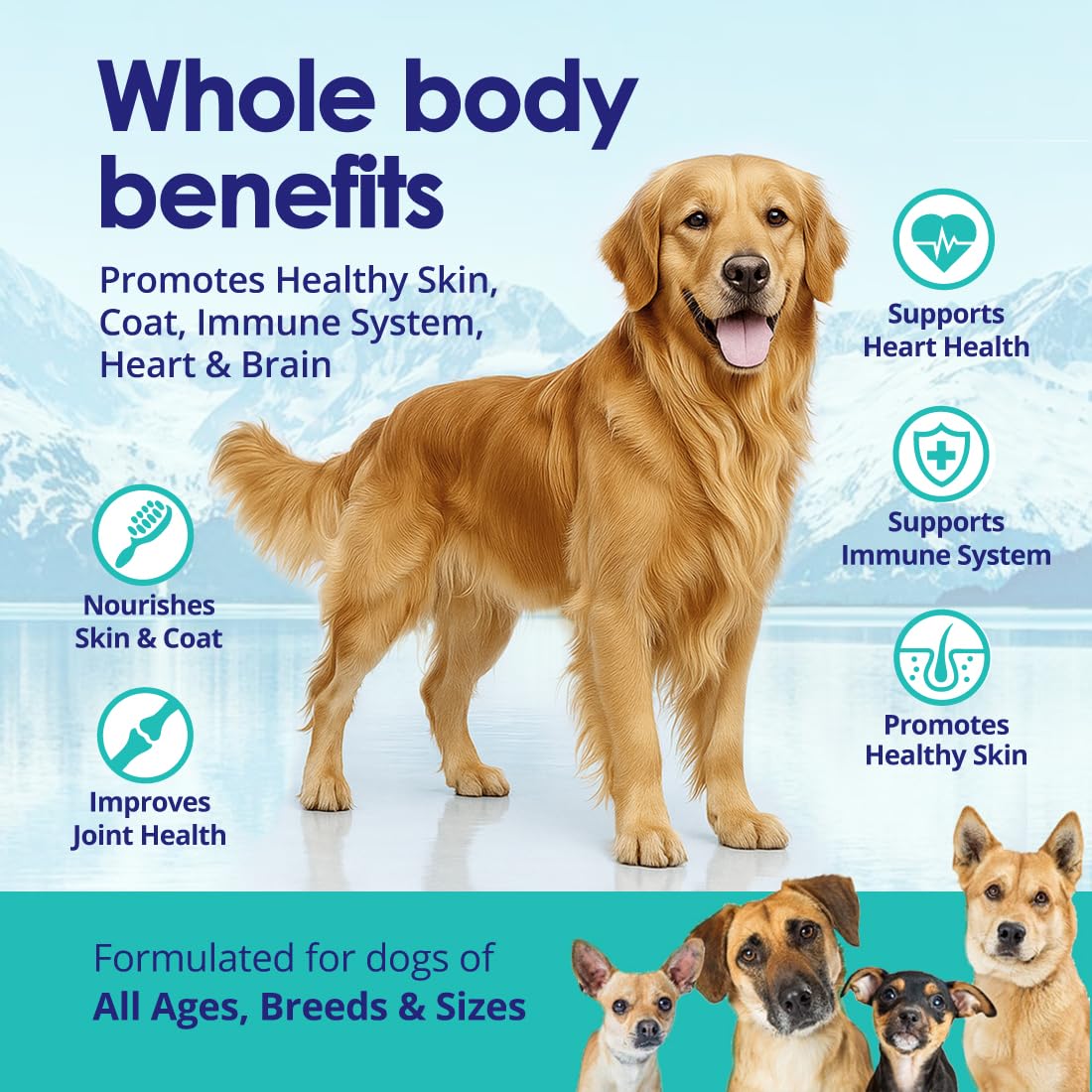 NuLife Liquid Fish Oil for Dogs supports joints and mobility.