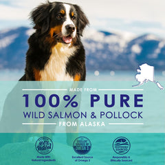 Dog food being mixed with NuLife salmon oil for a tasty meal