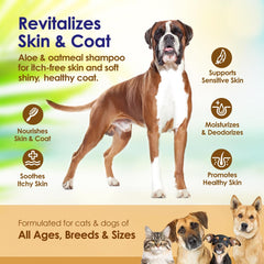 NuLife Oatmeal Shampoo aloe-vera-droplet emphasizes soothing ingredients.