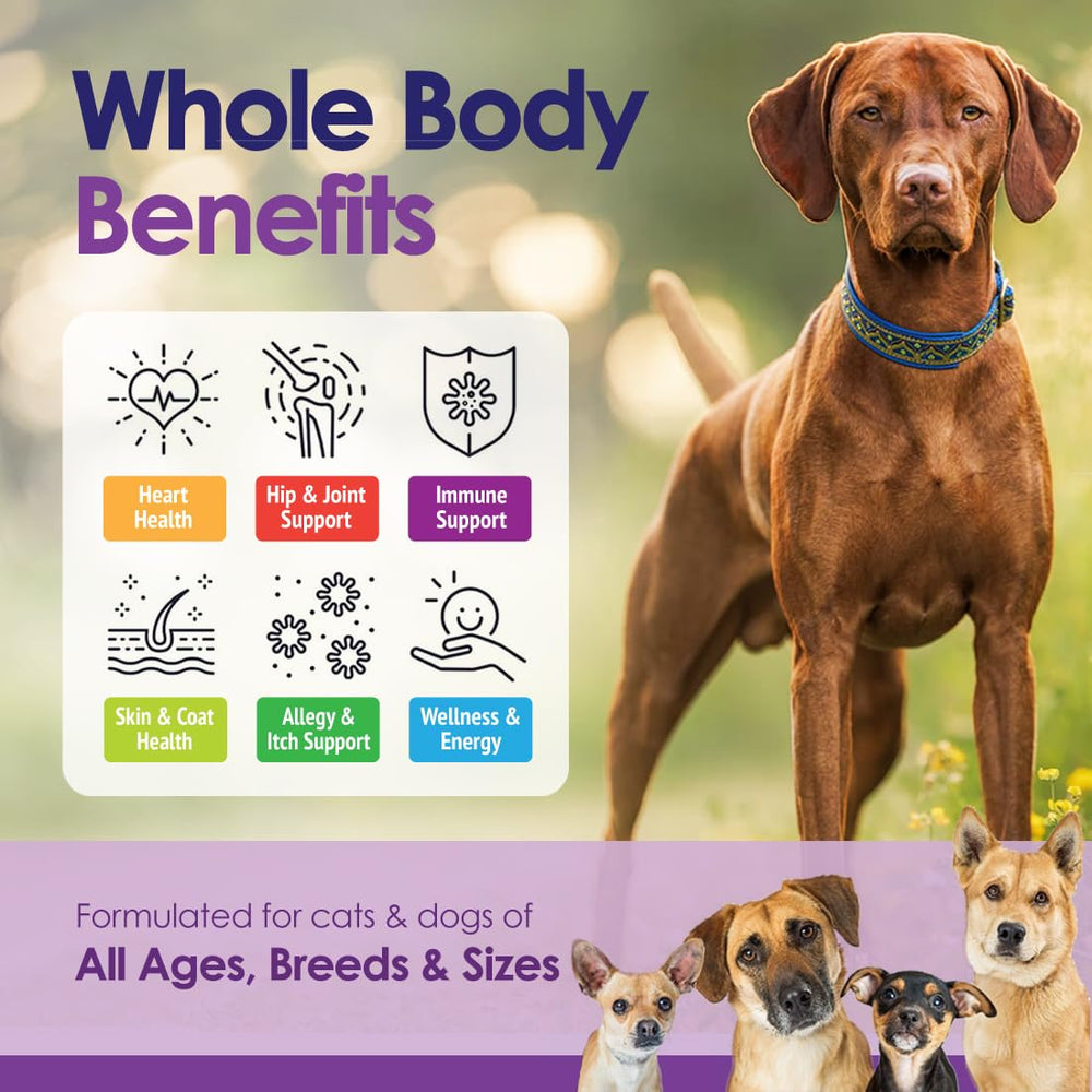 NuLife Skin Coat Support promotes healthy skin and shine