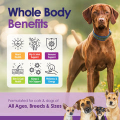 NuLife Skin Coat Support promotes healthy skin and shine