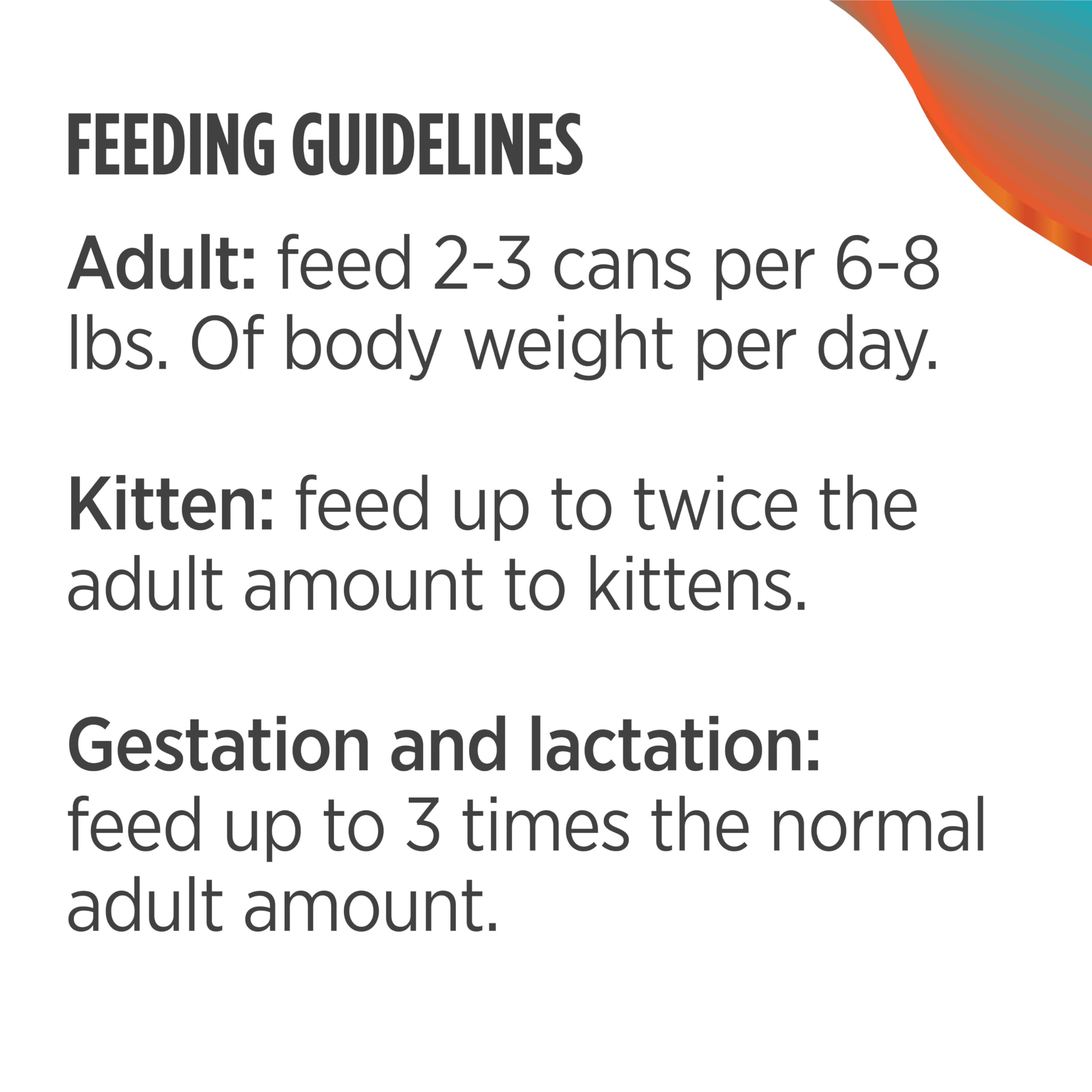 Nulo cat feeding bowl scene, tasty shredded texture encourages hydration and appetite.
