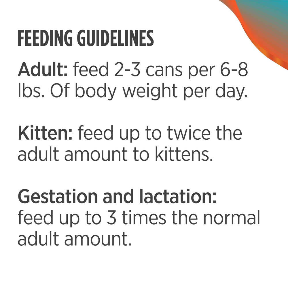 Nulo cat feeding bowl scene, tasty shredded texture encourages hydration and appetite.
