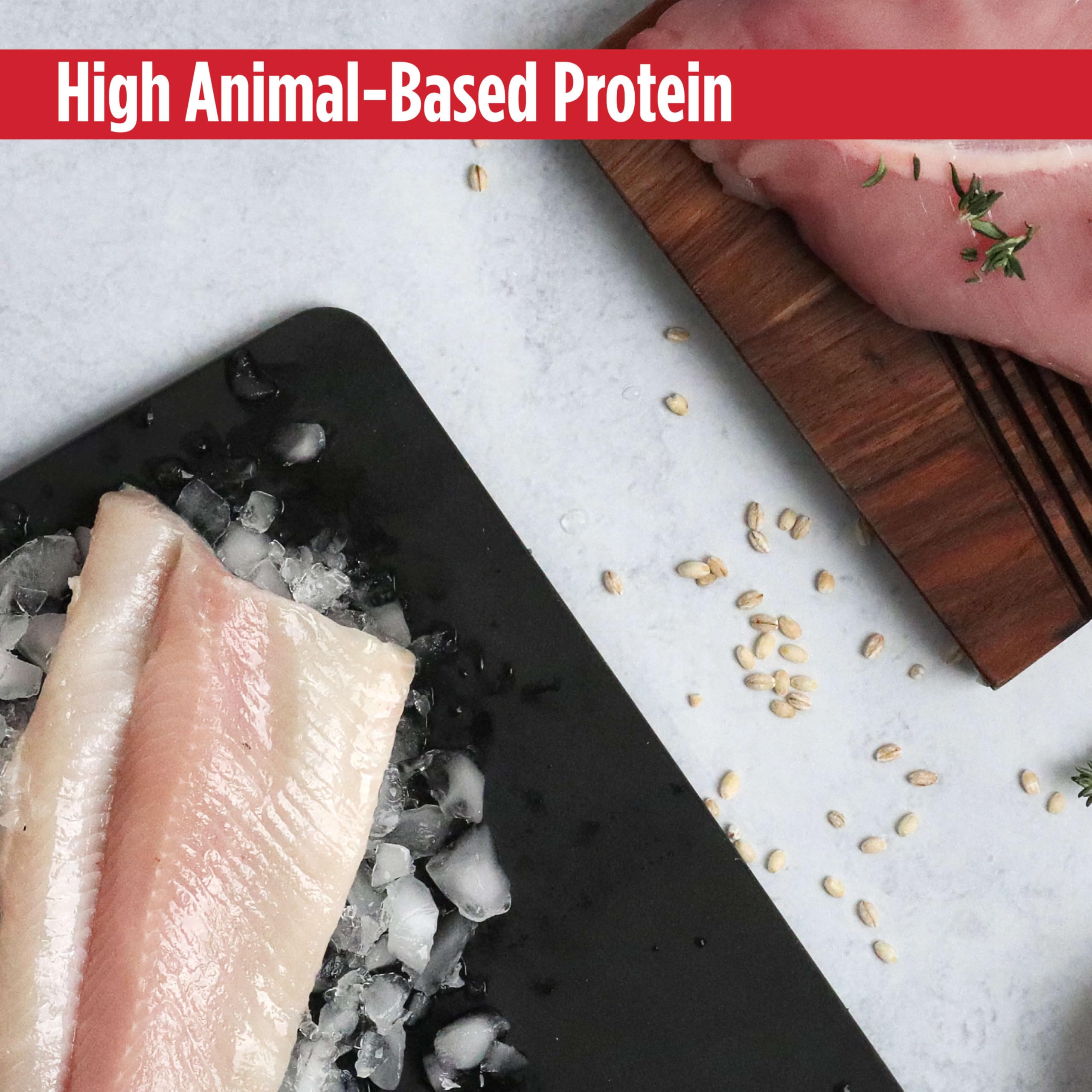 Nulo Digestive Health Cat flavor chicken-whitefish captures premium taste