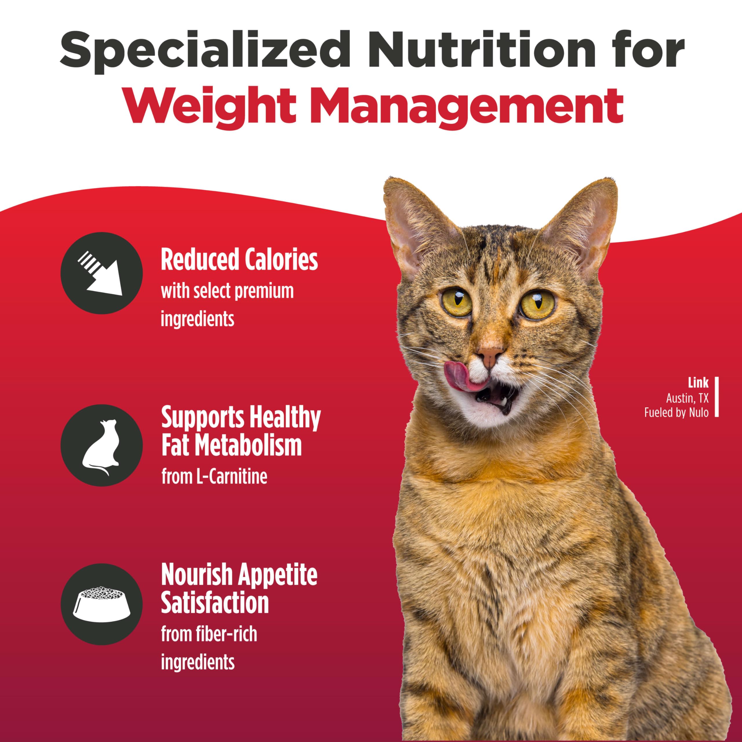 Nulo FreeStyle salmon kibble close-up emphasizes high-protein nutrition for lean cats