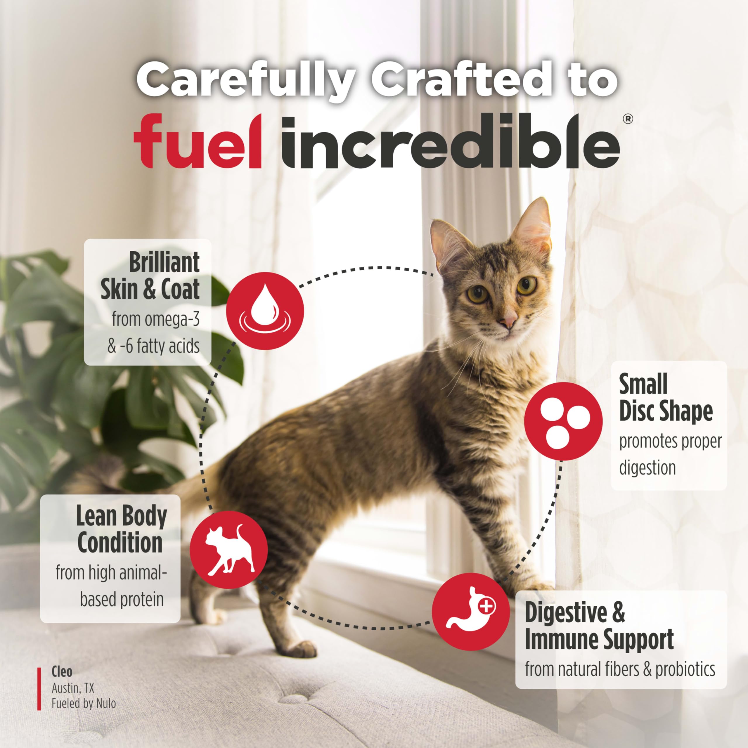 Nulo FreeStyle disc-shaped kibble close-up shows texture cats enjoy during meals