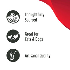 Nulo Freestyle Bone Broth poured over pet food to boost flavor and entice eating.