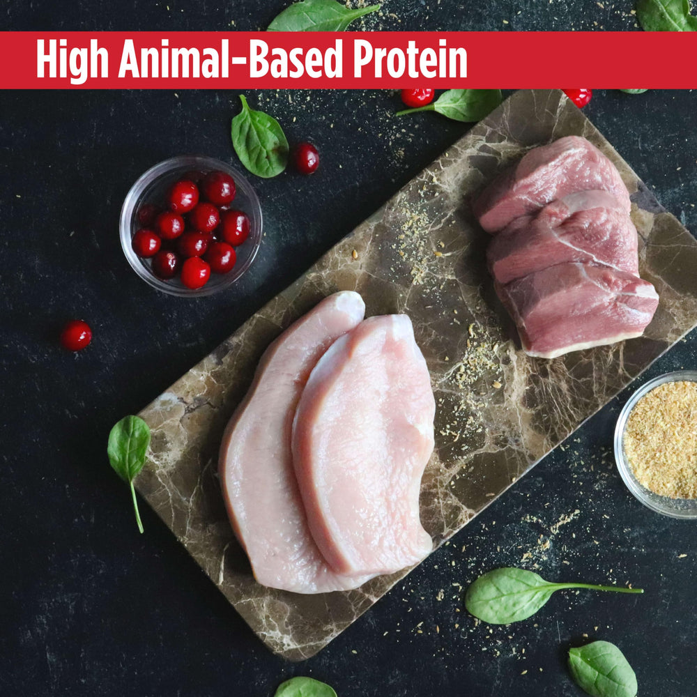 Nulo Freestyle Freeze-Dried Raw meal topper on kibble for flavor boost.