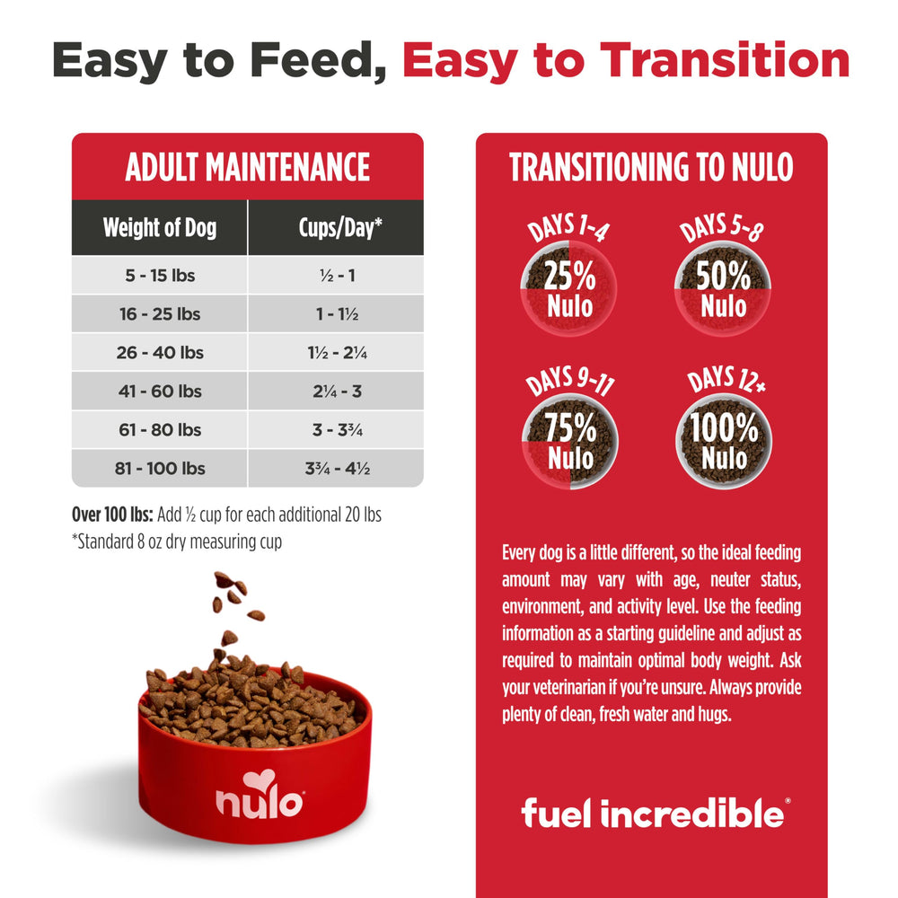 Nulo FreeStyle dog enjoying an energetic day fueled by premium nutrition.