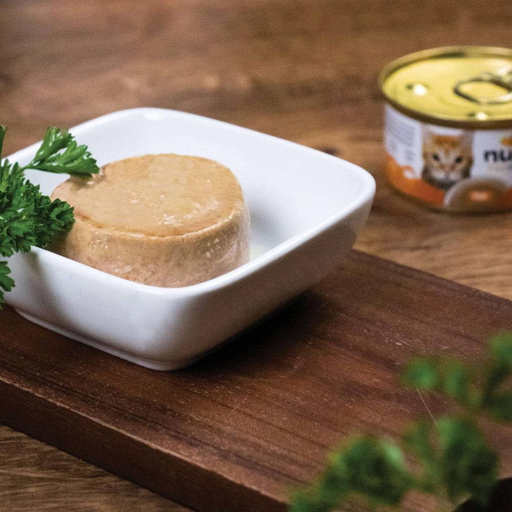 Protein-rich pate from Nulo Freestyle supports active cats