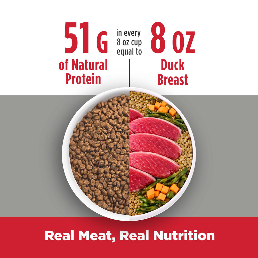 Omega fatty acids in Nulo FreeStyle Indoor improve skin and coat health.