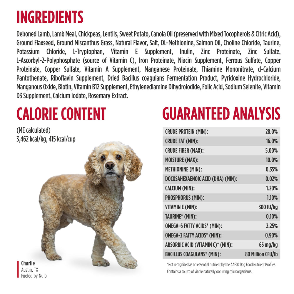 Texture close-up of grain-free kibble suitable for dogs with sensitivities.