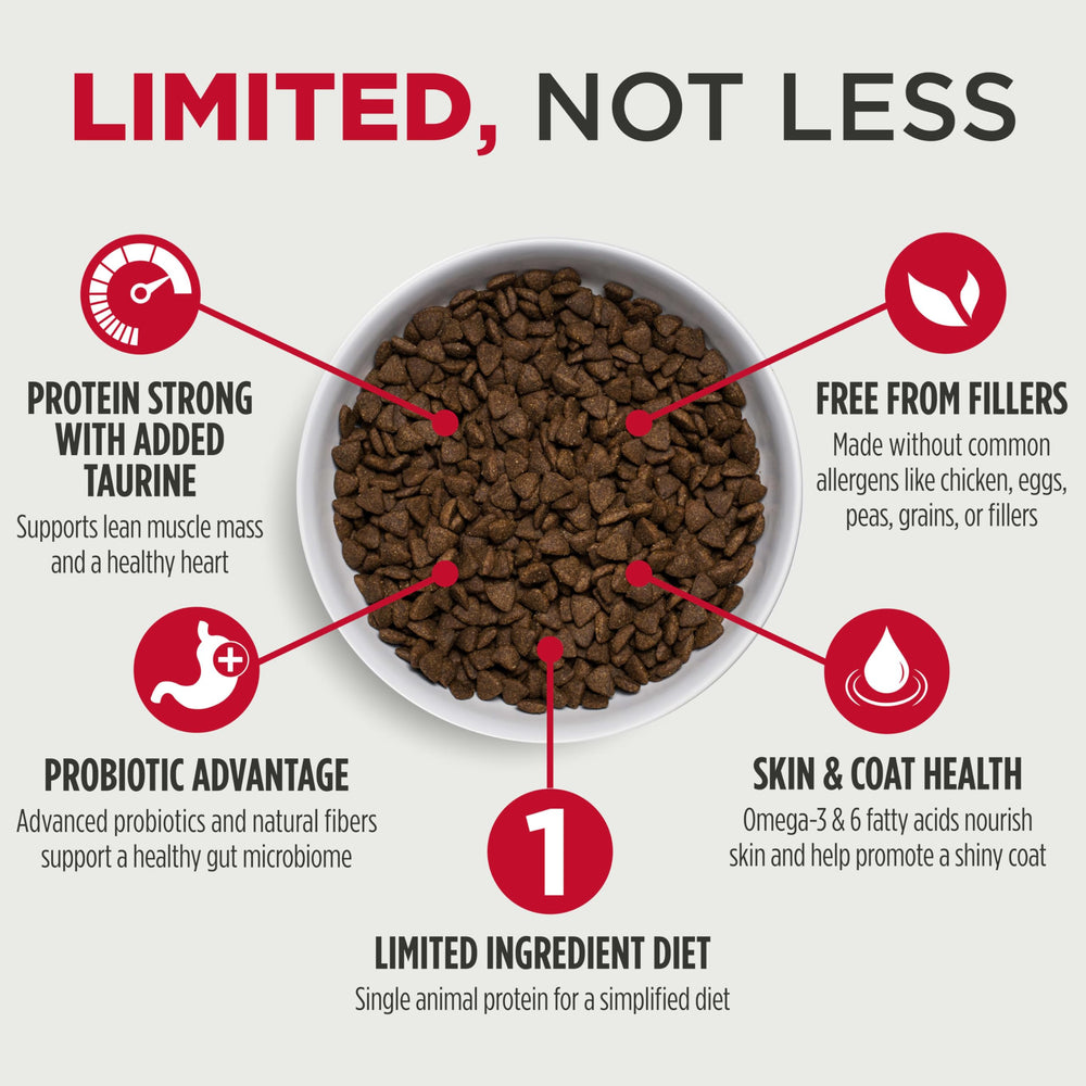 Close-up of Nulo Freestyle lamb kibble highlighting single-protein nutrition for sensitive tummies.