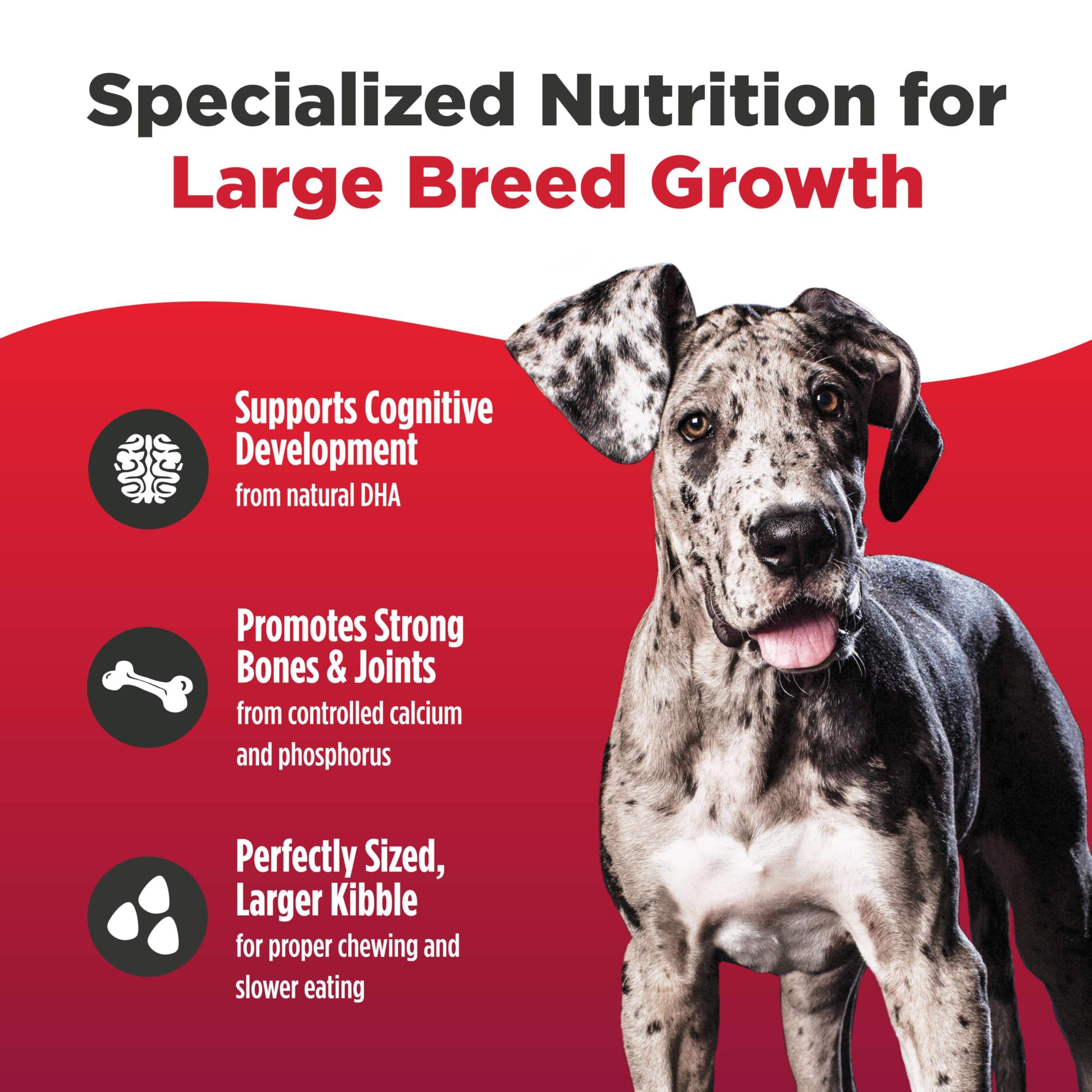 Nulo Freestyle kibble with bone and joint support for healthy mobility