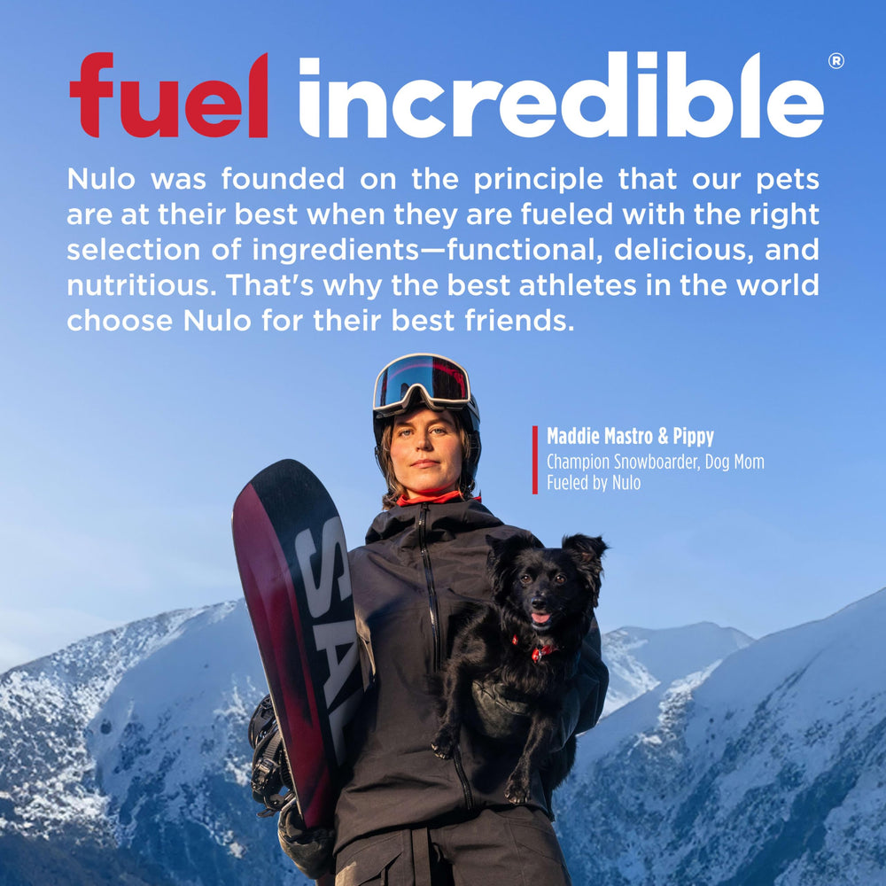 Nulo Freestyle omega fatty acids promoting healthy skin and coat