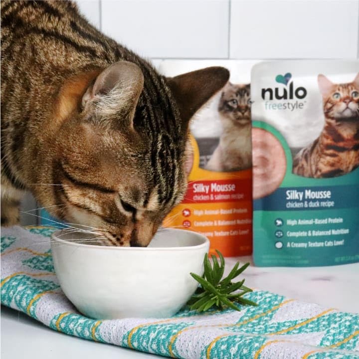 Nulo Freestyle 24-pack on shelf for convenient feeding