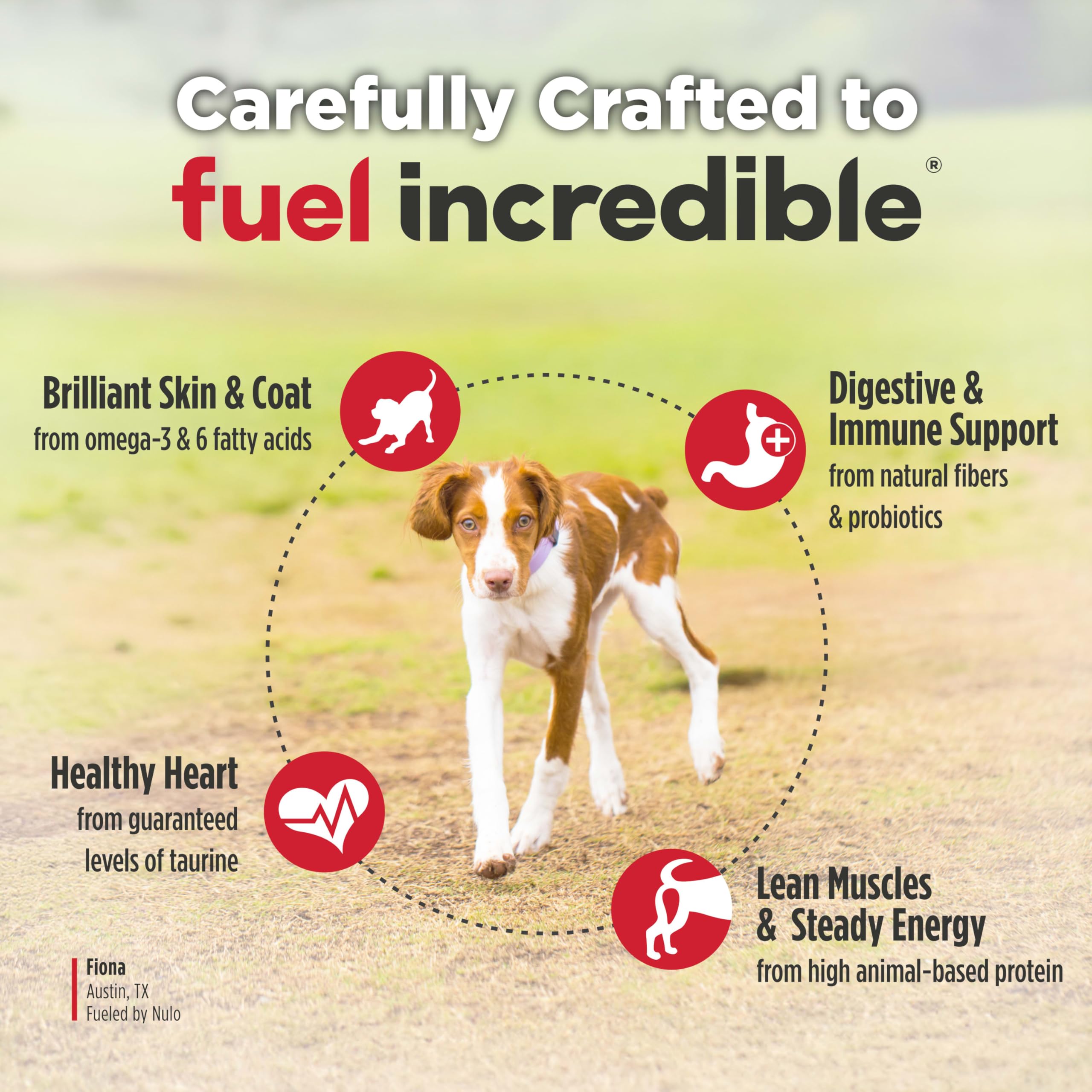 Nulo Freestyle 6lb bag shown for convenient feeding