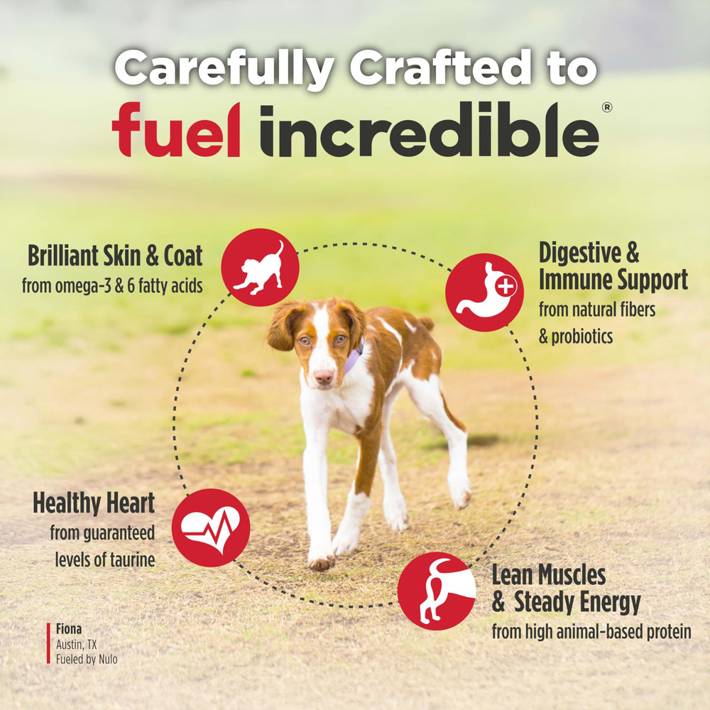 Nulo Freestyle 6lb bag shown for convenient feeding