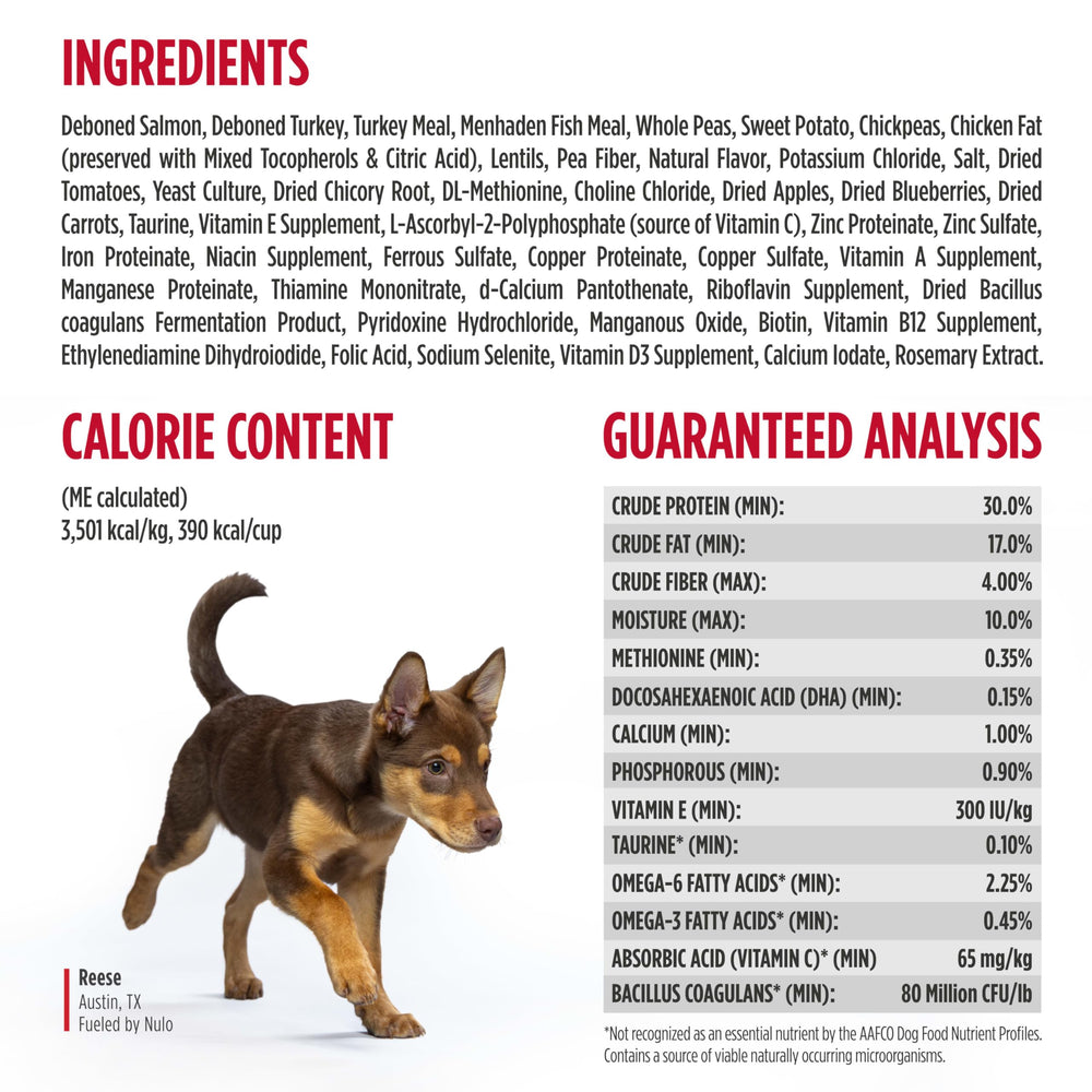 Omega fatty acids promote healthy skin and a glossy coat in puppies