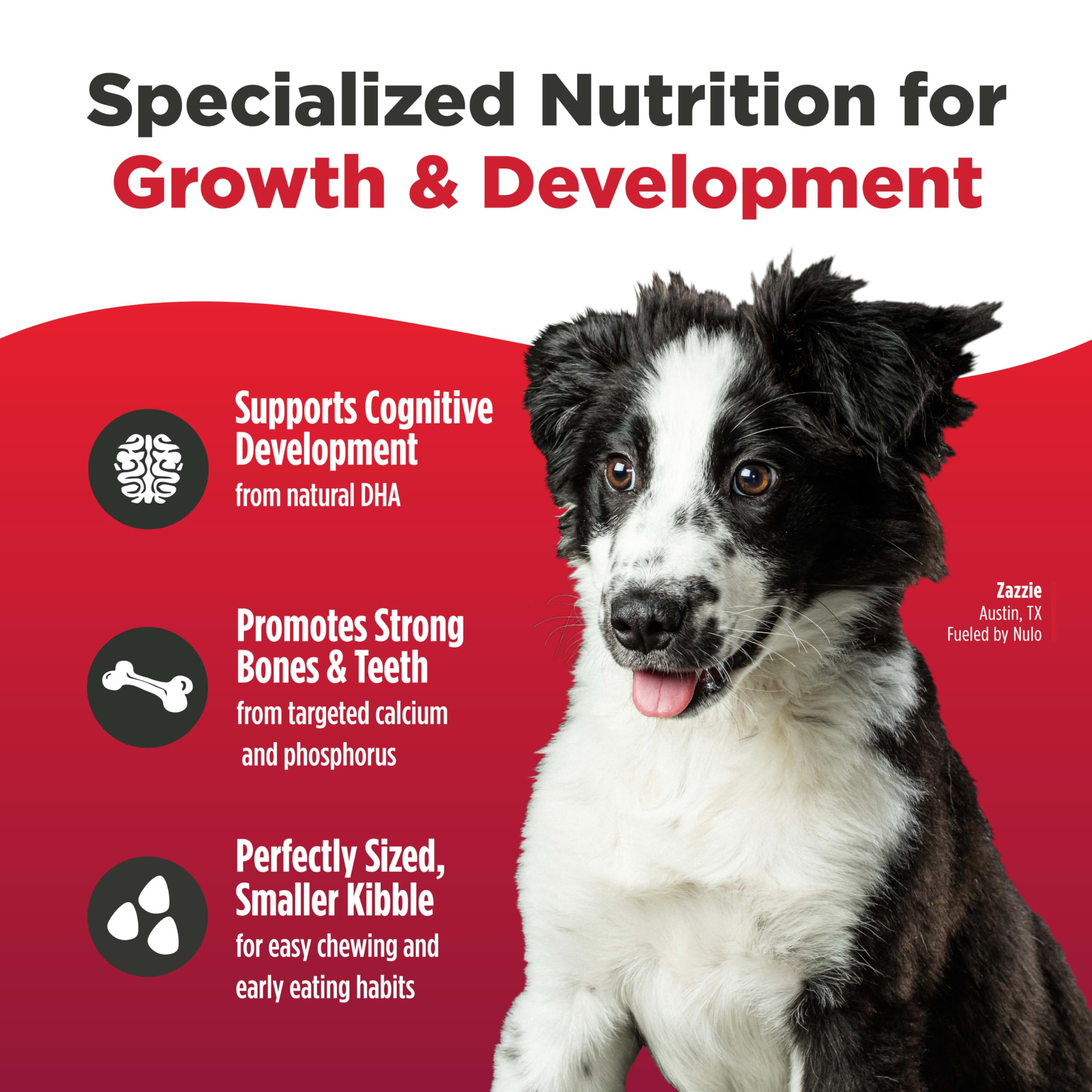 Nulo Freestyle salmon first ingredient supports growth and brain function