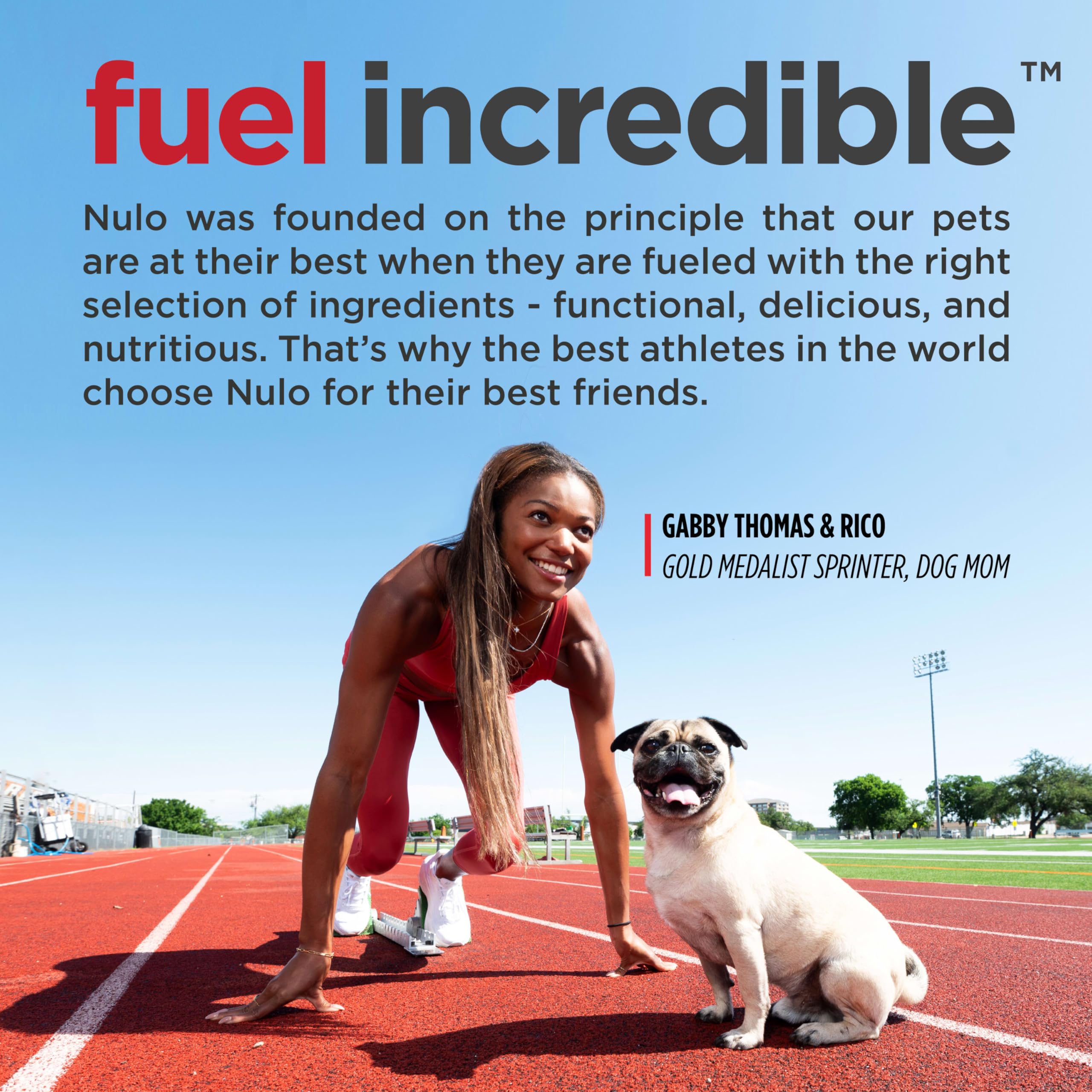 Nulo Freestyle Puppy kibble closeup highlighting protein-rich texture for growth