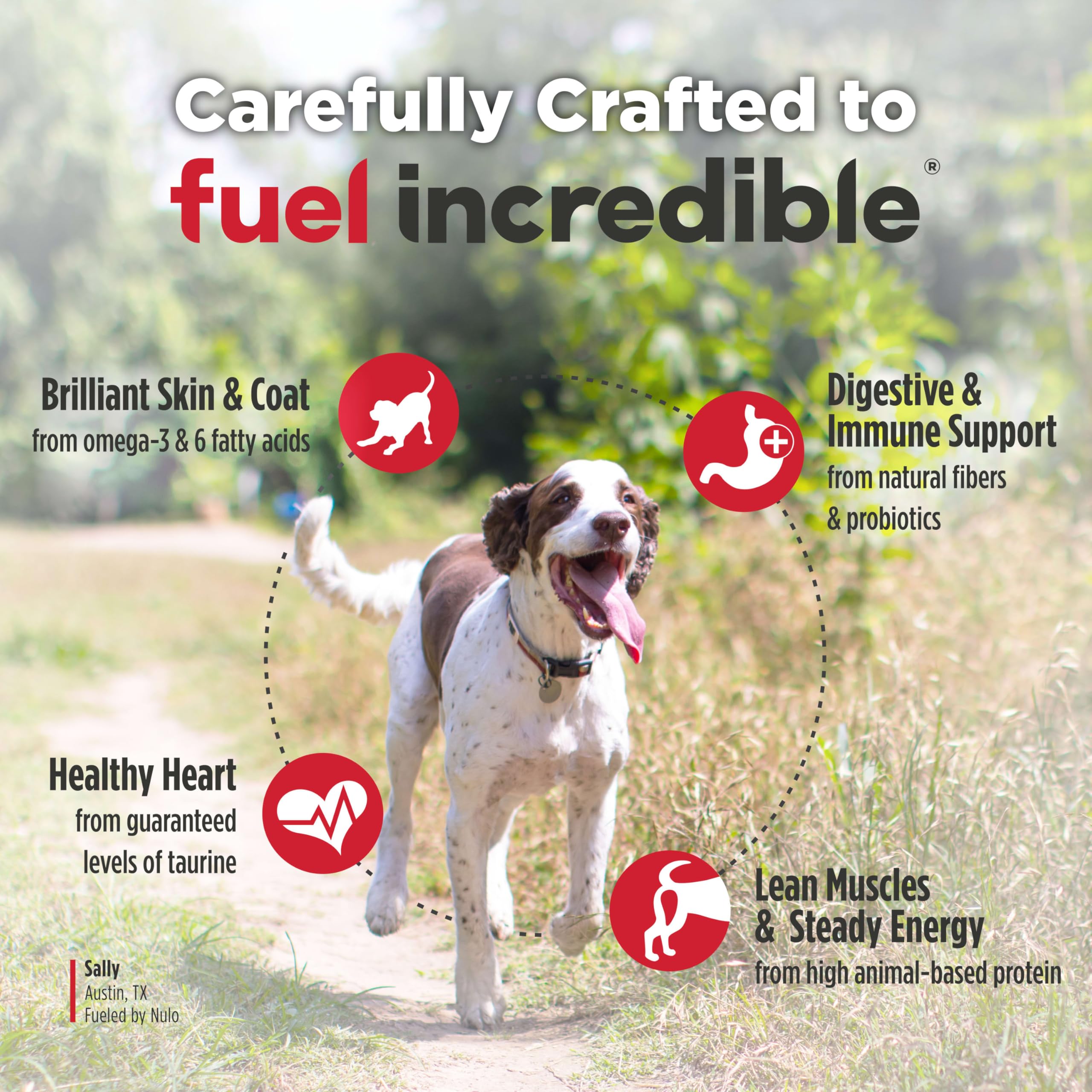 Joint-support ingredients listed for Nulo FreeStyle Senior formula