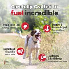 Joint-support ingredients listed for Nulo FreeStyle Senior formula