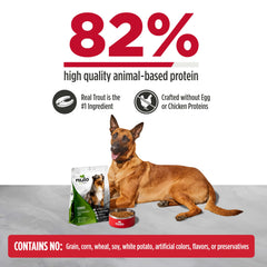 Nulo FreeStyle Senior Sweet Potato Kibble promotes digestion and energy.