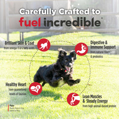 BC30 probiotic focus for digestion with Nulo Freestyle small breed kibble