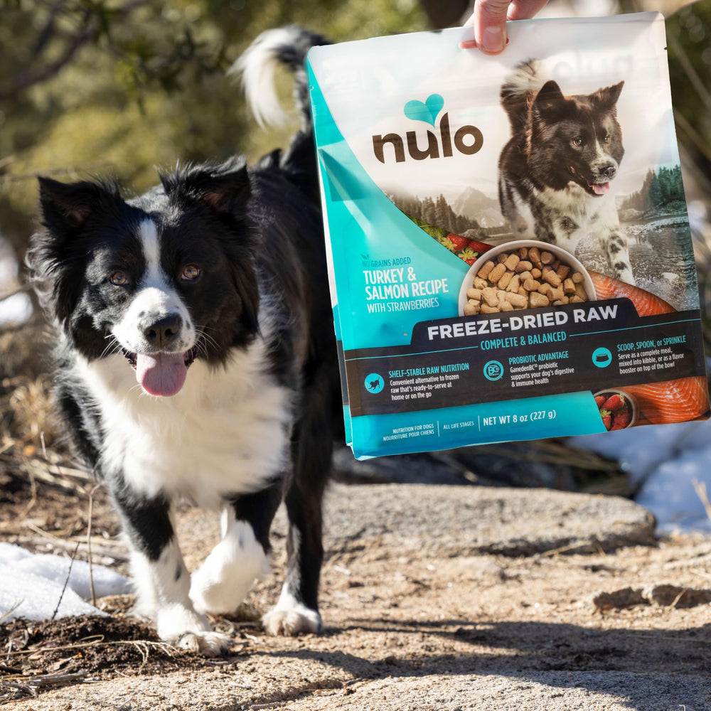 Nulo Freeze-Dried Turkey Recipe GanedenBC30 probiotic for digestive support