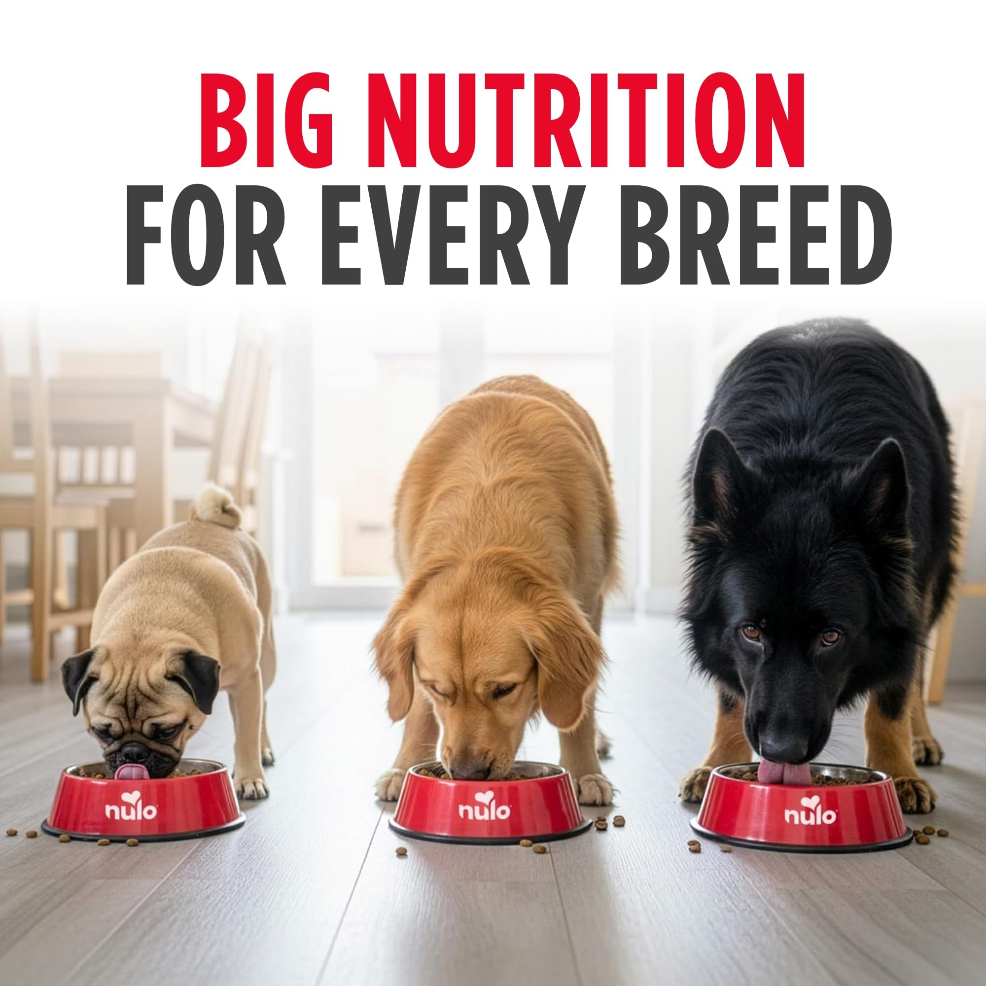 Nulo Frontrunner ancient grains like spelt for gentle digestion