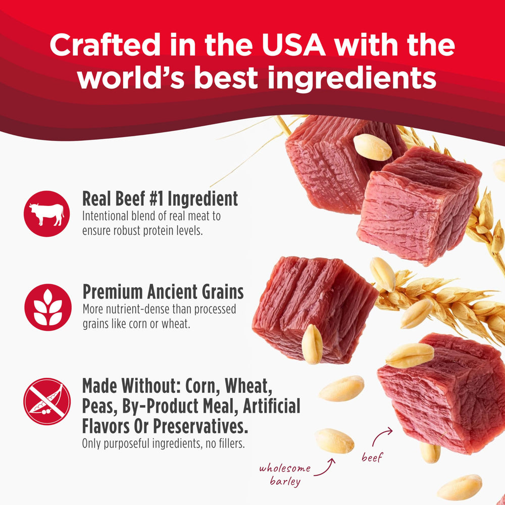 Nulo Frontrunner kibble close-up highlights ancient grains and high-protein formula.