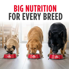 Nulo Frontrunner omega-3 and omega-6 fats promote healthy skin and coat.