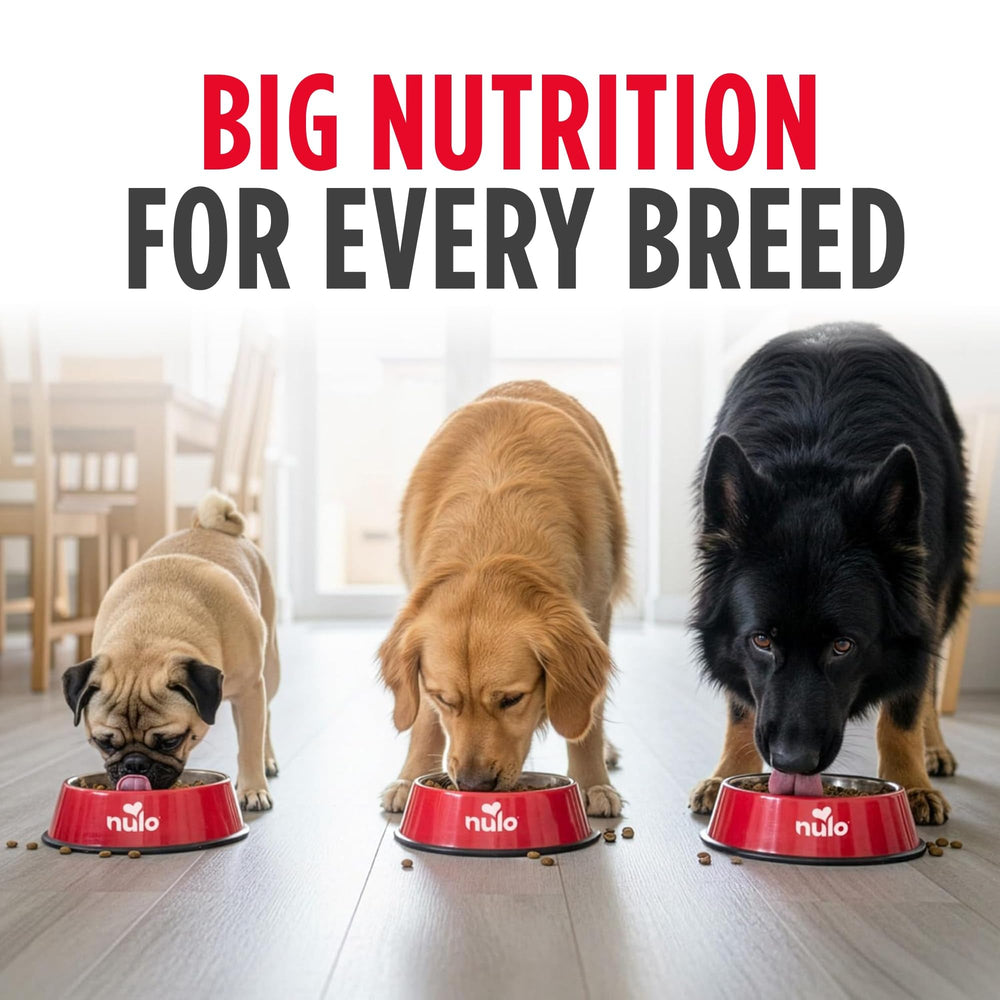 Nulo Frontrunner omega-3 and taurine emphasis for healthy skin and coat.