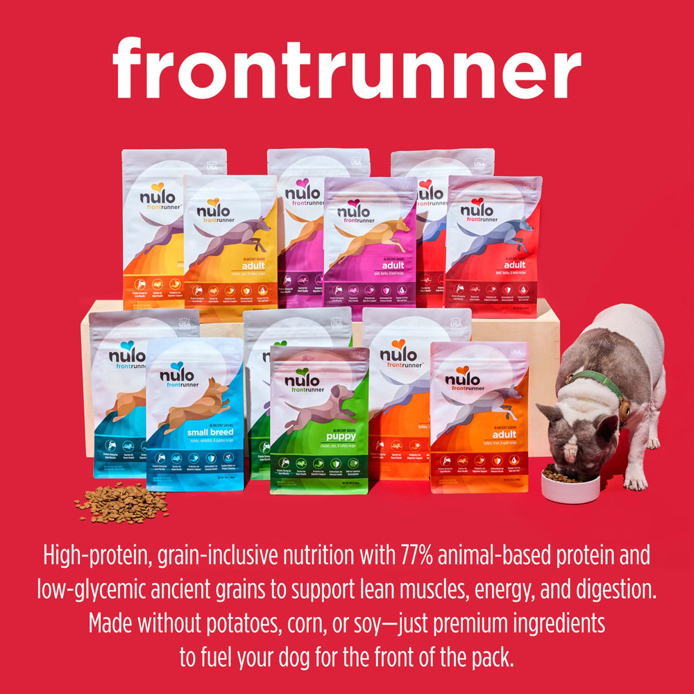 Nulo Frontrunner BC30 probiotics close-up for gut health benefits