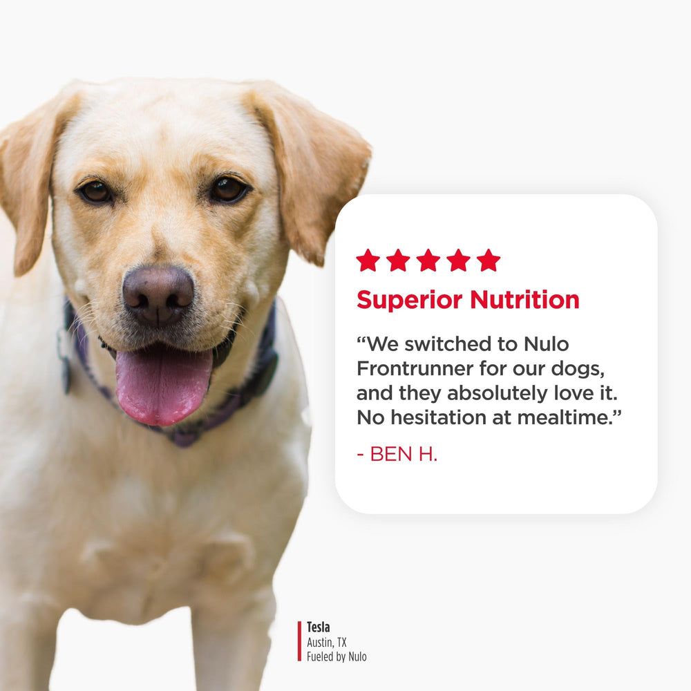 Nulo Frontrunner probiotics in the blend support gentle digestion and nutrient absorption