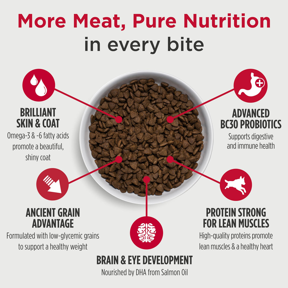 Nulo Frontrunner Puppy Food bowl serve captures portion-ready meal for balanced energy