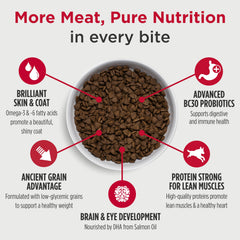 Nulo Frontrunner Puppy Food bowl serve captures portion-ready meal for balanced energy