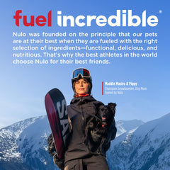Nulo Frontrunner Puppy Food dry kibble close-up highlights protein for steady energy