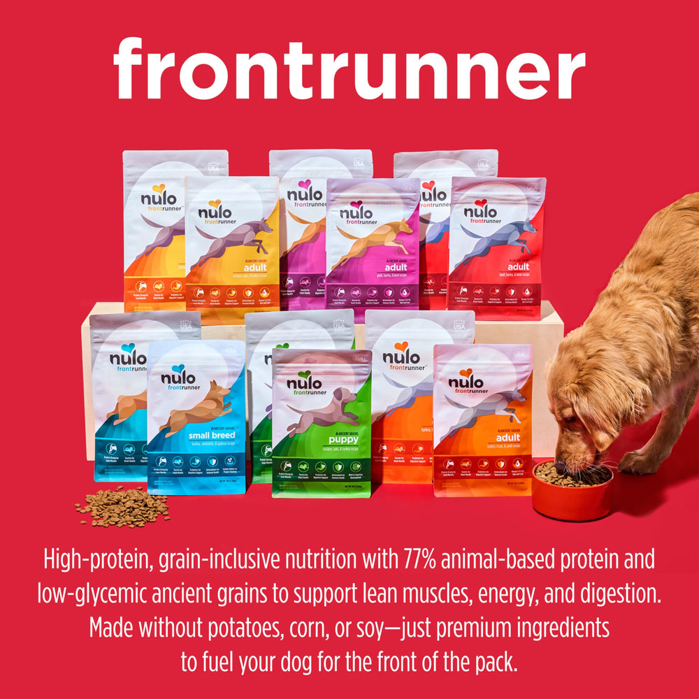 Nulo Frontrunner puppy growth and coat shine on healthy skin