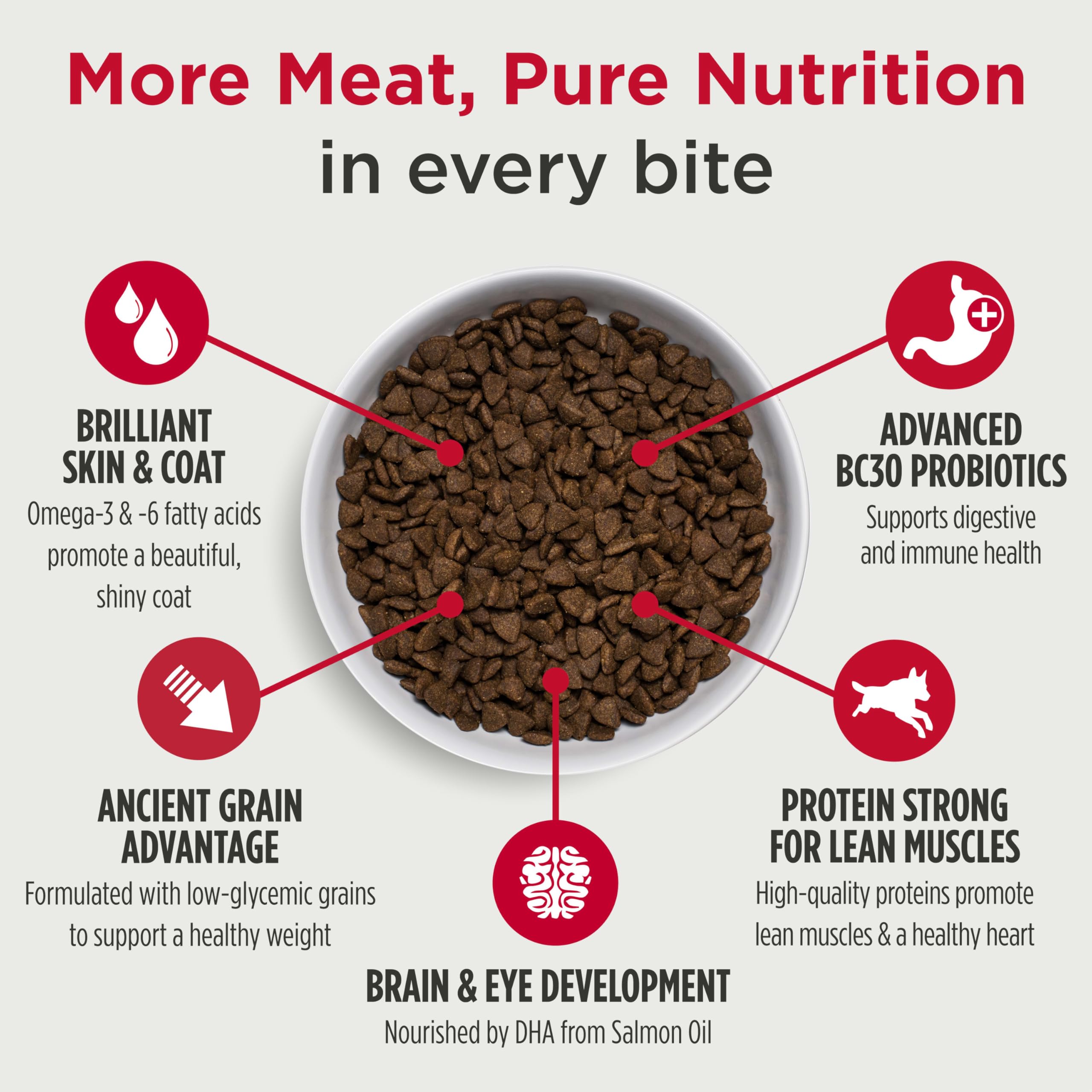 Nulo Frontrunner puppy mealtime bowl for steady energy
