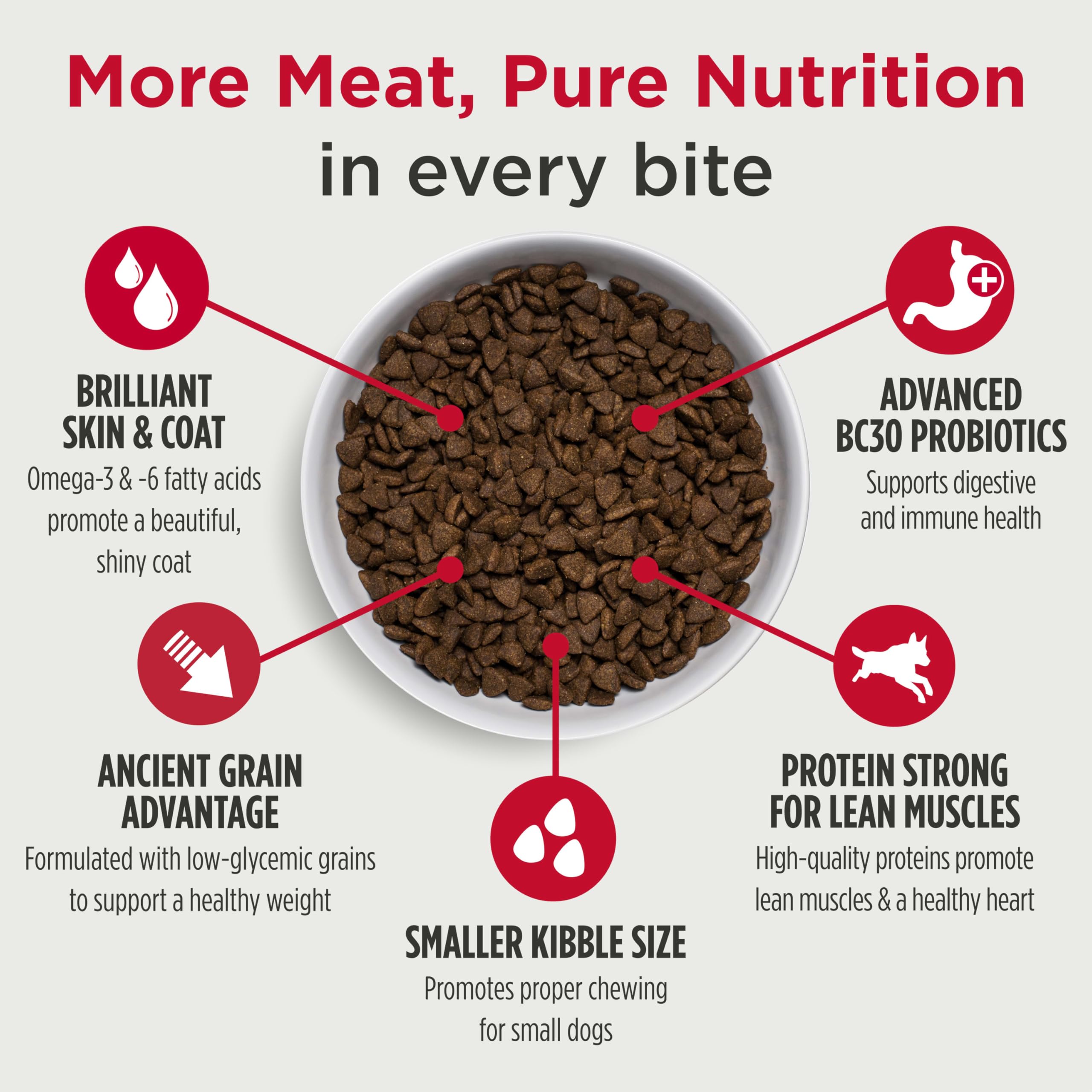 Close-up of Nulo Frontrunner small breed kibble highlighting animal-protein content