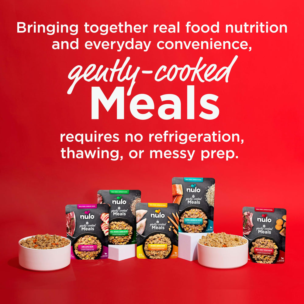 Nulo Gently-Cooked Meals ready-to-serve pouch for mess-free meals.