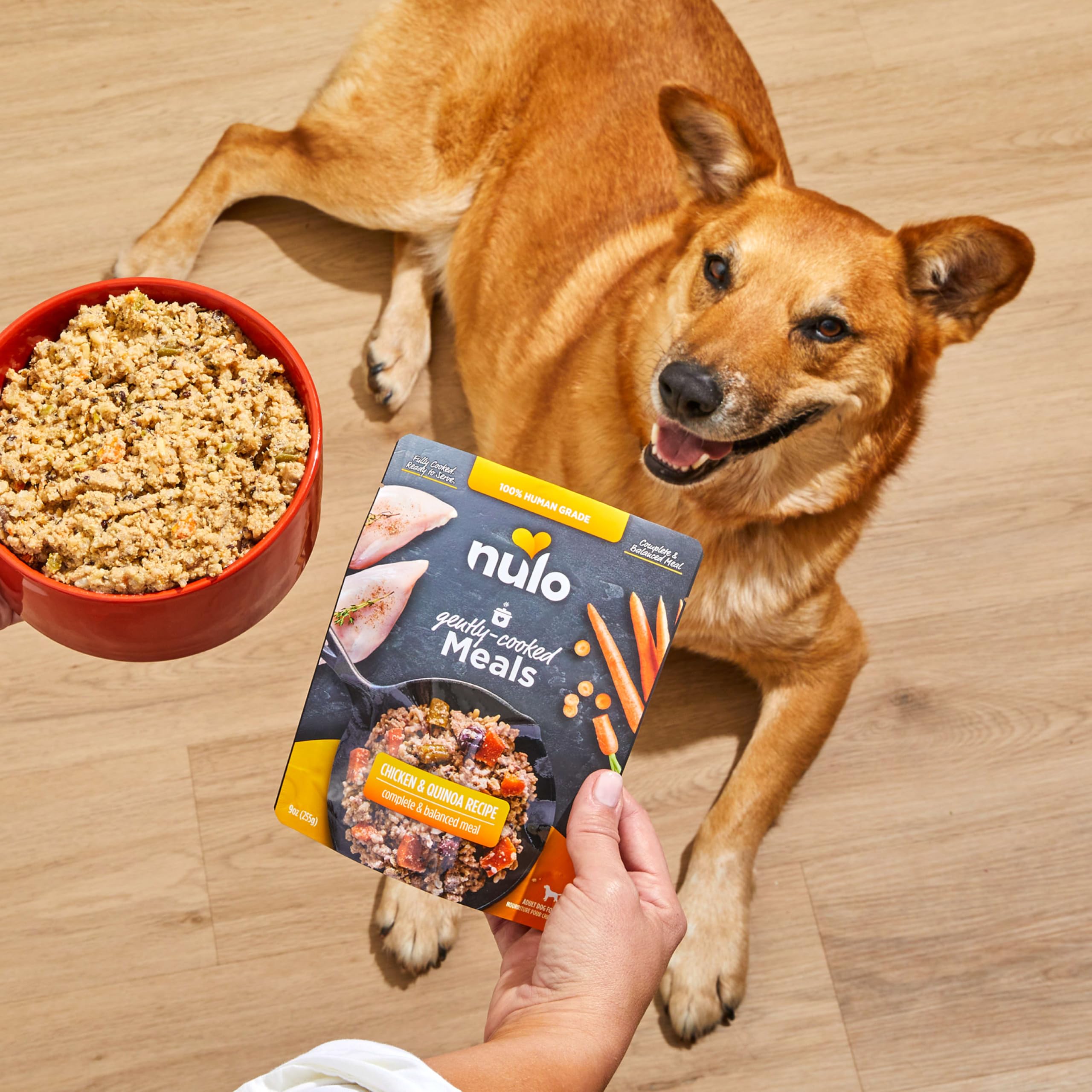 Nulo Gently-Cooked Meals savory bone broth adds moisture and aroma.