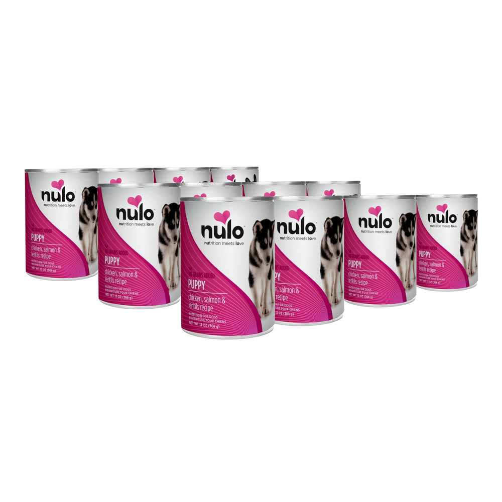 Nulo Puppy wet food with chicken, salmon, and lentils in a bowl boosts appetites and digestion.