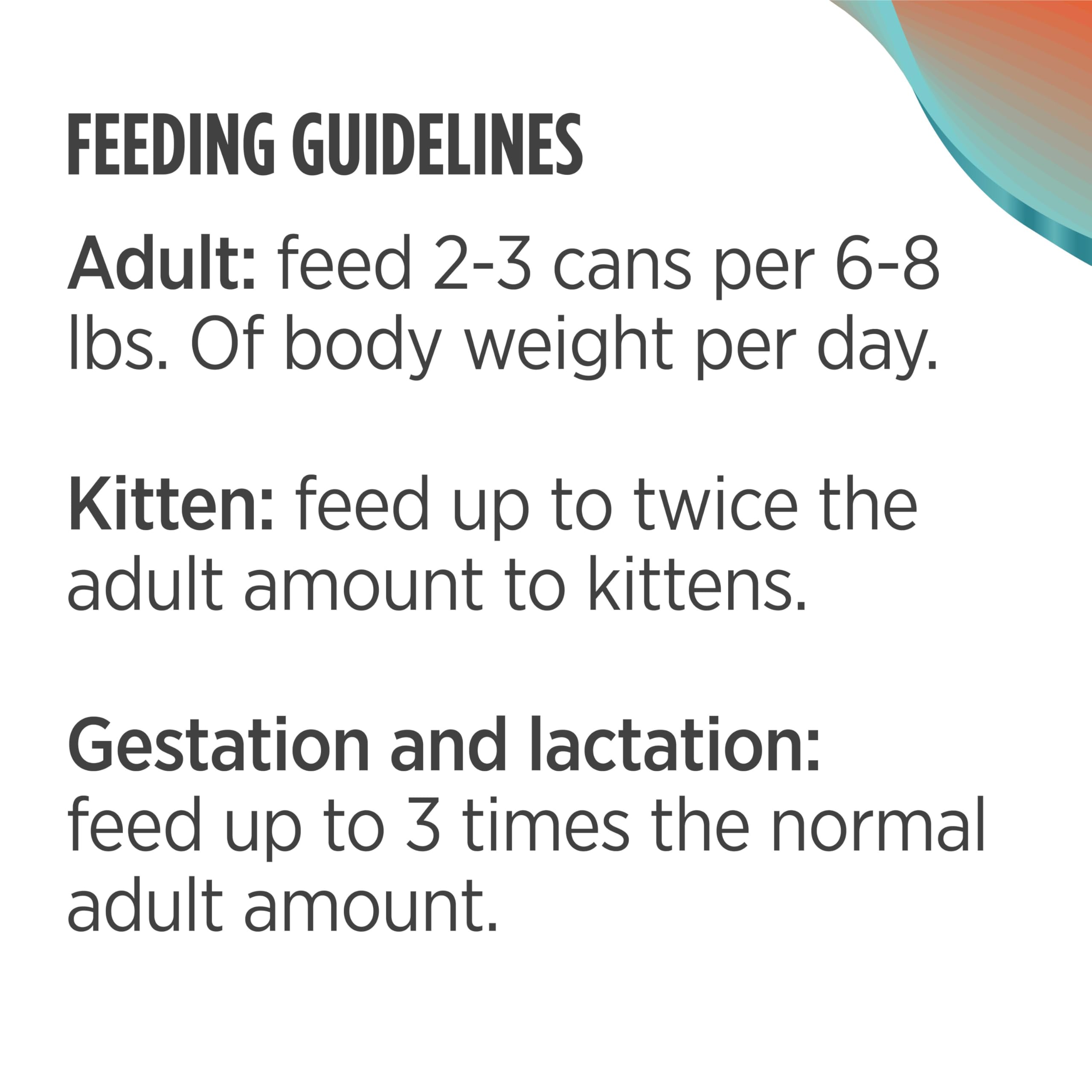 Cat or kitten enjoying Nulo Salmon and Turkey grain free recipe