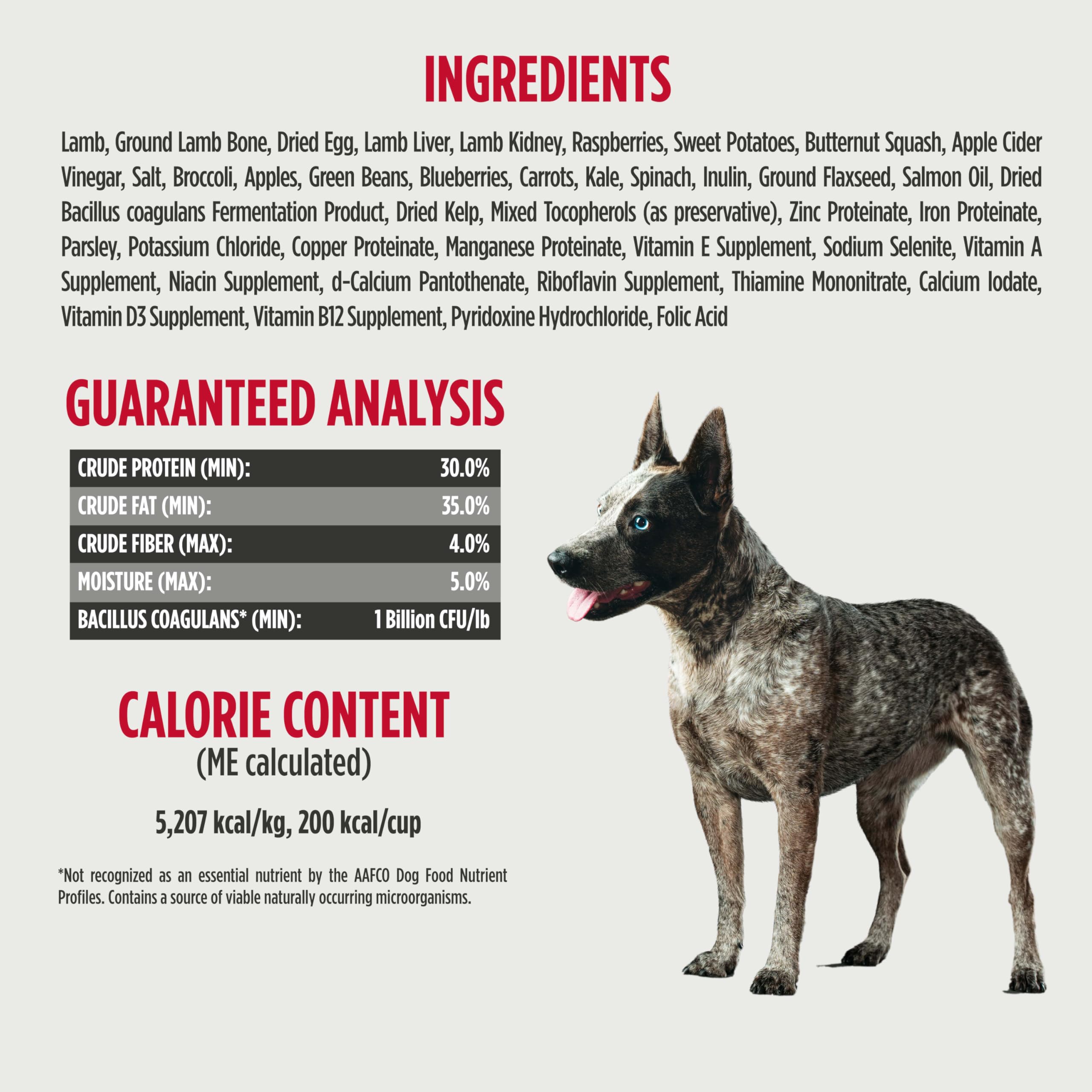 Nulo serving bowl with kibble illustrates versatile feeding options