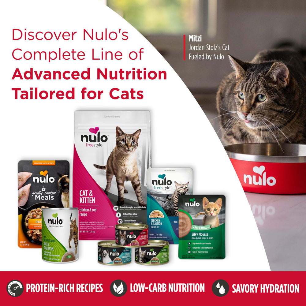 Nulo Split Cup cat-eating scene shows moist paté that supports hydration