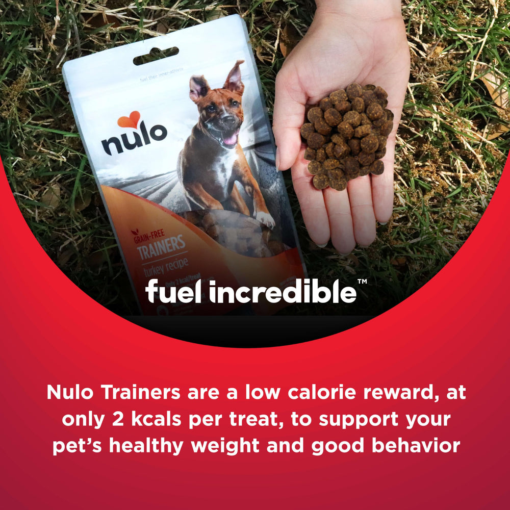 Nulo Trainers dog enjoying training reward during session.