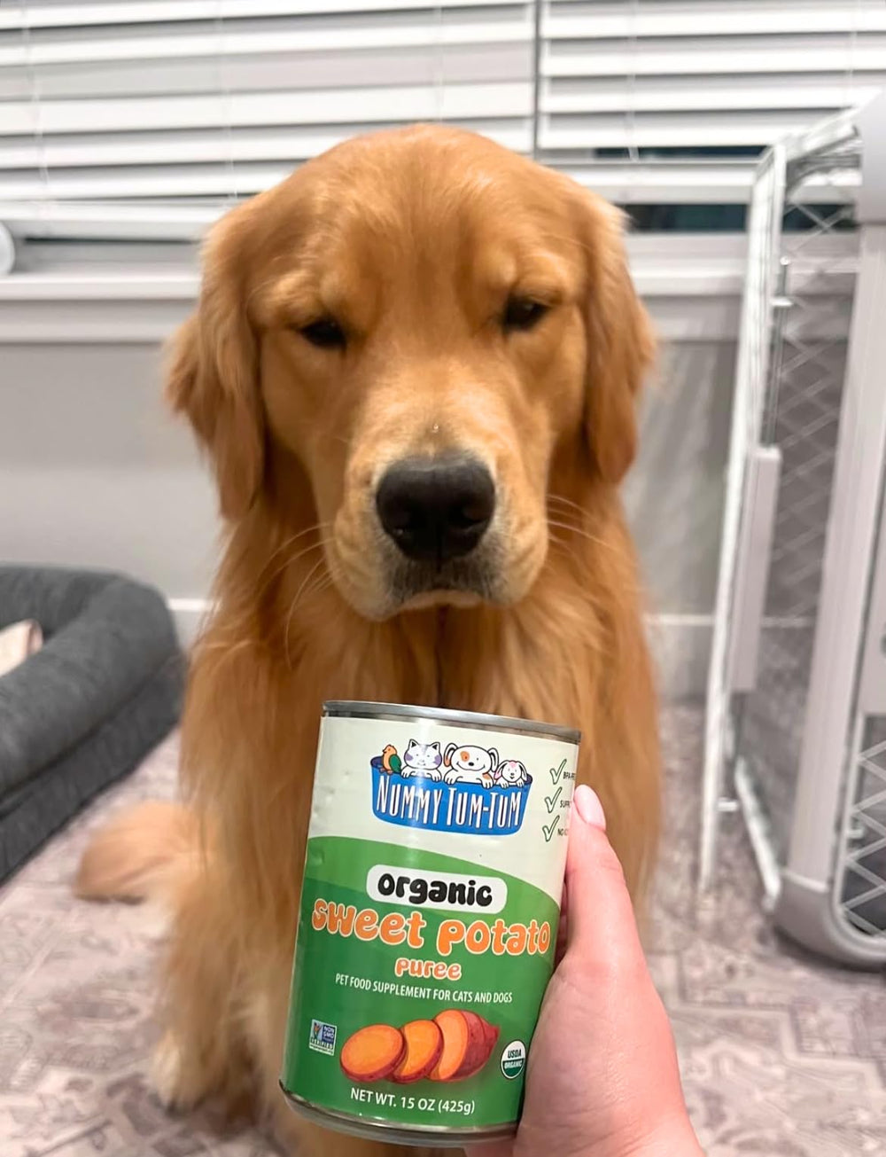 Nummy Tum Tum organic sweet potato BPA-free packaging demonstrates pet-safe storage.